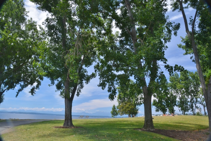 Discovery Park